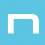 Netmaster logo