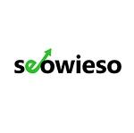seowieso - Ihre Online Marketing Agentur Zürich logo