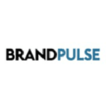 Brandpulse AG - Markenberatung - Branding Agentur logo