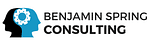 BS Consulting logo